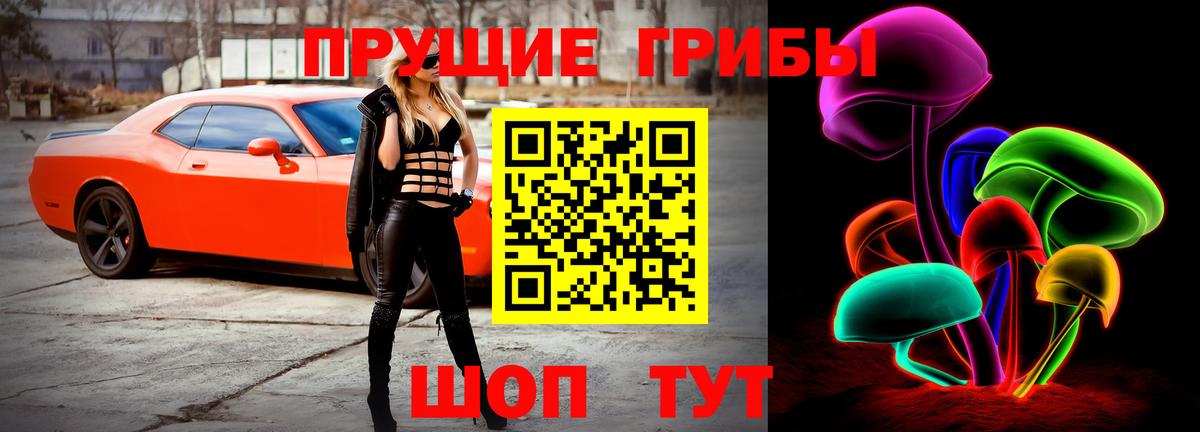 Псилоцибиновые грибы Magic Shrooms Ессентуки