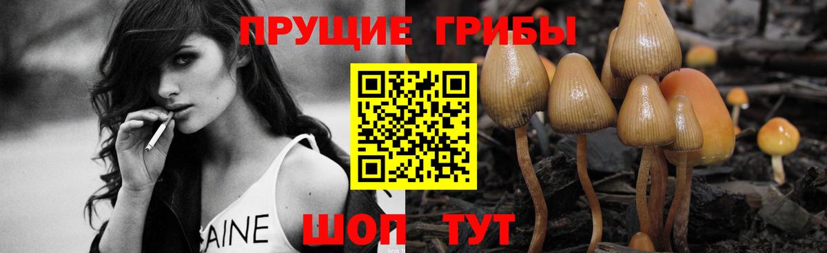 Ессентуки  Псилоцибиновые грибы мицелий  Вход с VPN 