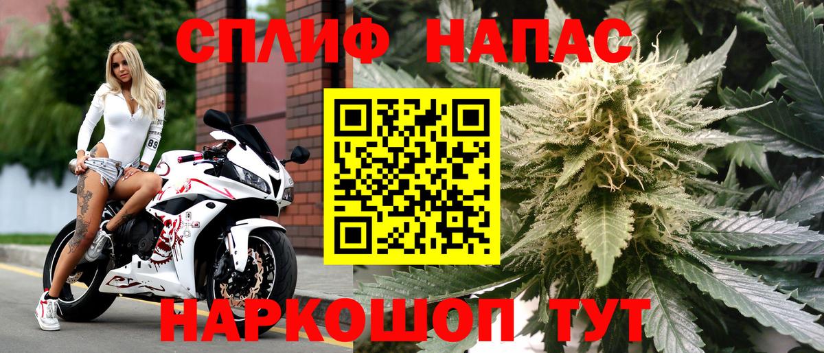 Бошки марихуана ГИДРОПОН Ессентуки